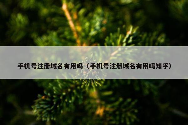 手机号注册域名有用吗（手机号注册域名有用吗知乎）