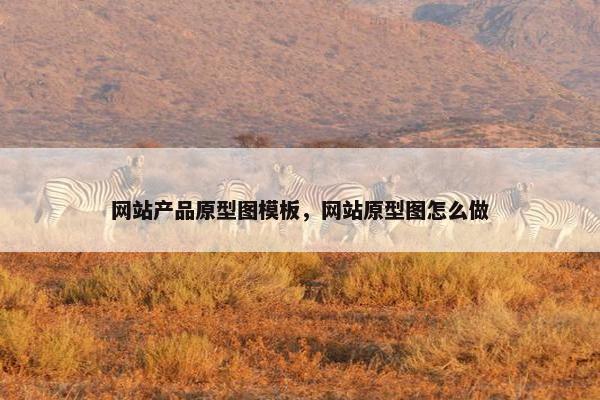 网站产品原型图模板，网站原型图怎么做