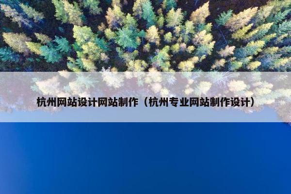 杭州网站设计网站制作（杭州专业网站制作设计）