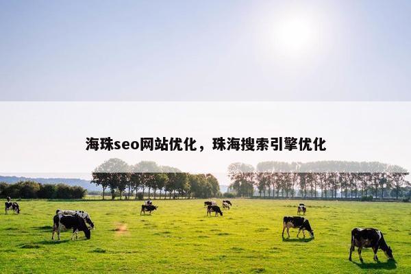 海珠seo网站优化，珠海搜索引擎优化