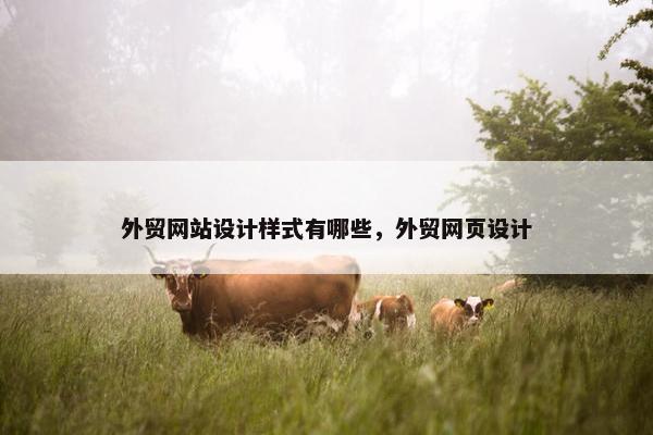 外贸网站设计样式有哪些，外贸网页设计