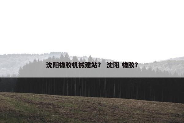 沈阳橡胶机械建站？ 沈阳 橡胶？