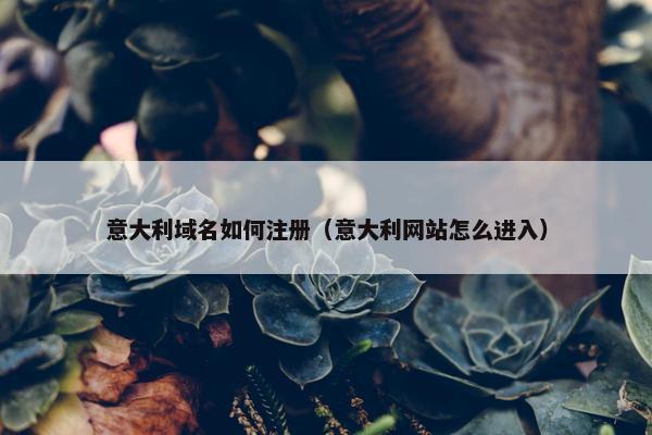 意大利域名如何注册（意大利网站怎么进入）