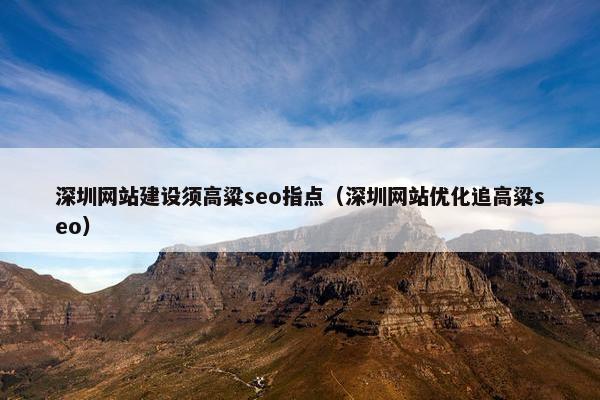 深圳网站建设须高粱seo指点（深圳网站优化追高粱seo）