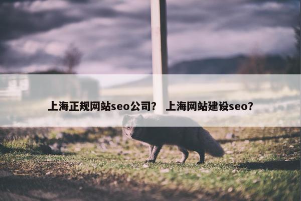 上海正规网站seo公司？ 上海网站建设seo？