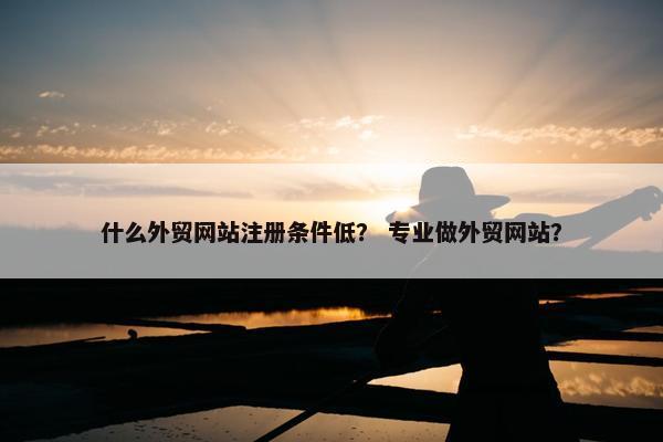 什么外贸网站注册条件低？ 专业做外贸网站？