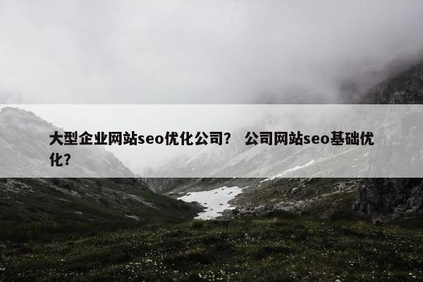 大型企业网站seo优化公司？ 公司网站seo基础优化？