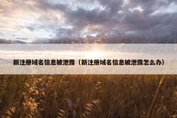 新注册域名信息被泄露（新注册域名信息被泄露怎么办）