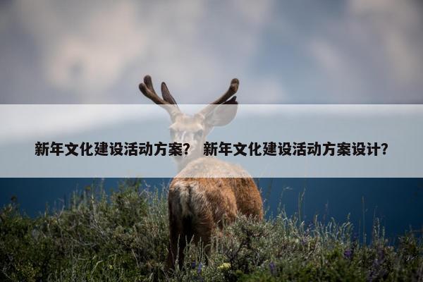 新年文化建设活动方案？ 新年文化建设活动方案设计？