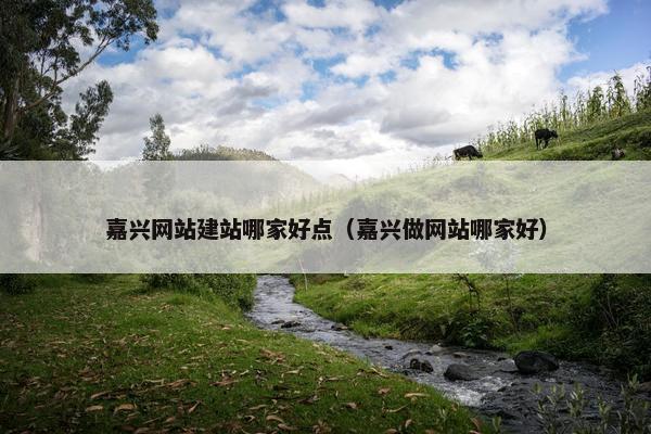 嘉兴网站建站哪家好点（嘉兴做网站哪家好）