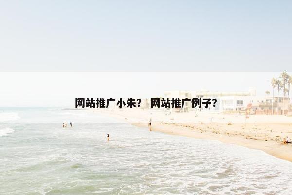 网站推广小朱？ 网站推广例子？