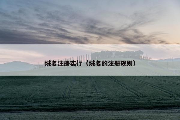 域名注册实行（域名的注册规则）