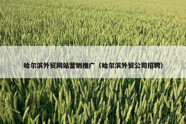 哈尔滨外贸网站营销推广（哈尔滨外贸公司招聘）