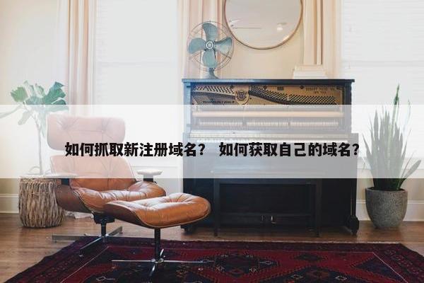 如何抓取新注册域名？ 如何获取自己的域名？