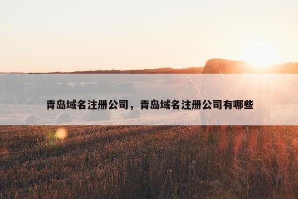 青岛域名注册公司，青岛域名注册公司有哪些