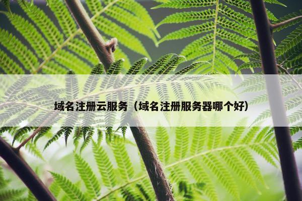 域名注册云服务（域名注册服务器哪个好）