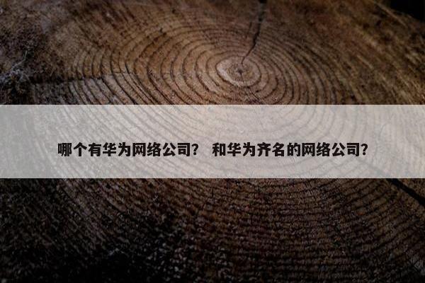 哪个有华为网络公司？ 和华为齐名的网络公司？