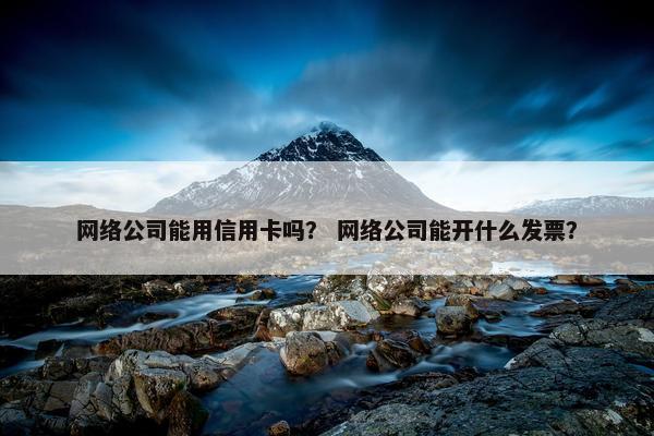 网络公司能用信用卡吗？ 网络公司能开什么发票？