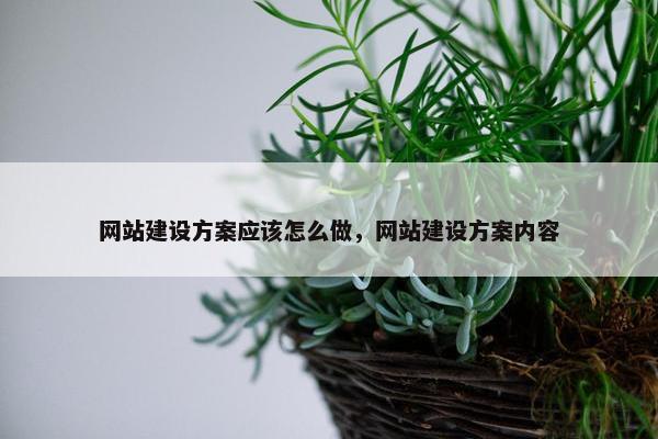 网站建设方案应该怎么做，网站建设方案内容