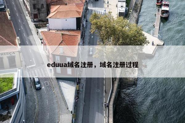 eduua域名注册，域名注册过程