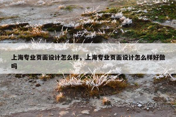 上海专业页面设计怎么样，上海专业页面设计怎么样好做吗