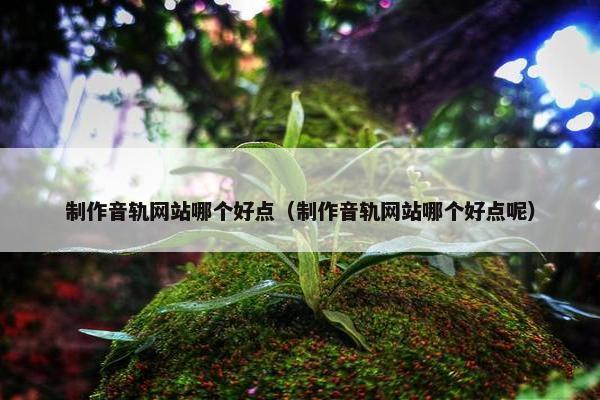 制作音轨网站哪个好点（制作音轨网站哪个好点呢）