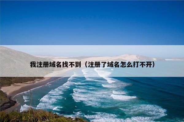 我注册域名找不到（注册了域名怎么打不开）