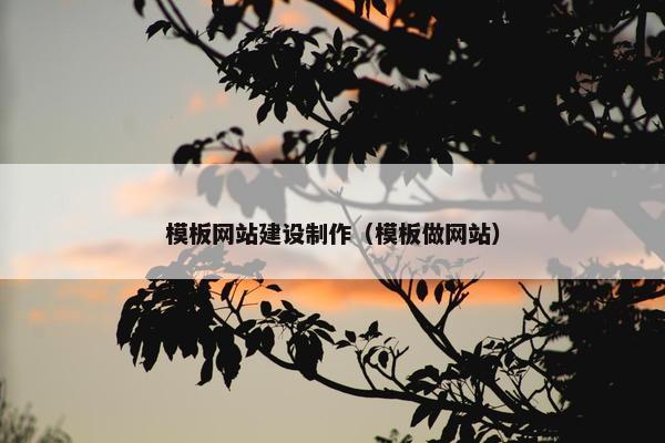 模板网站建设制作（模板做网站）
