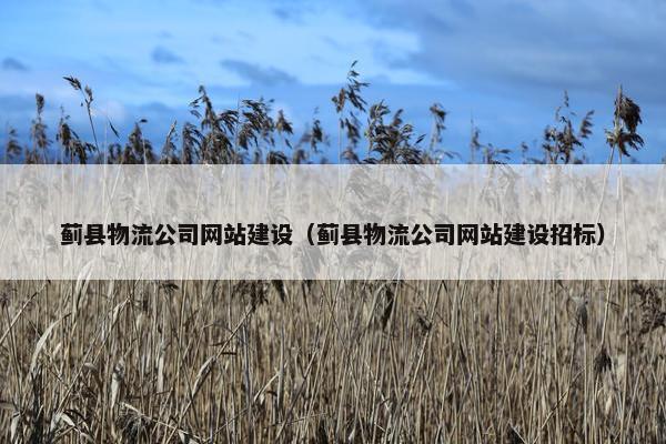 蓟县物流公司网站建设（蓟县物流公司网站建设招标）