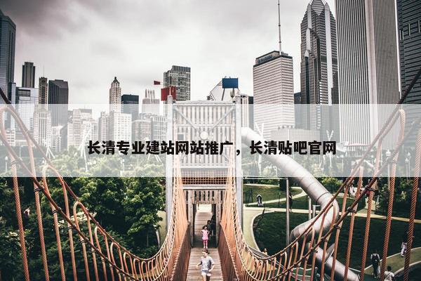 长清专业建站网站推广，长清贴吧官网