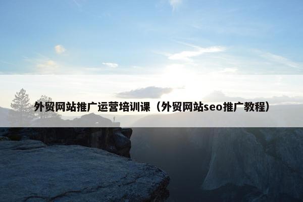外贸网站推广运营培训课（外贸网站seo推广教程）