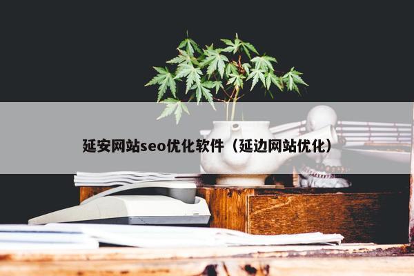 延安网站seo优化软件（延边网站优化）