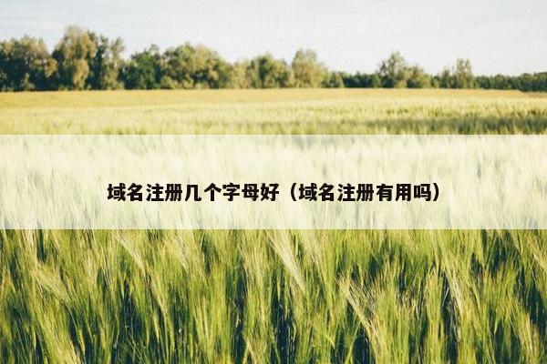 域名注册几个字母好（域名注册有用吗）