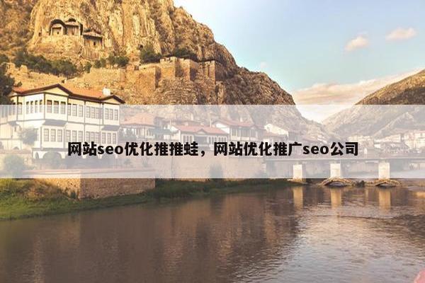 网站seo优化推推蛙，网站优化推广seo公司