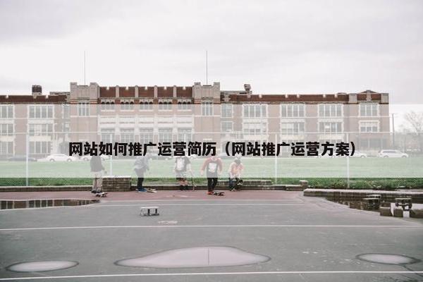 网站如何推广运营简历（网站推广运营方案）