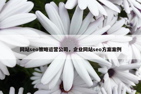 网站seo策略运营公司，企业网站seo方案案例