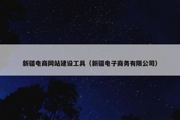 新疆电商网站建设工具（新疆电子商务有限公司）
