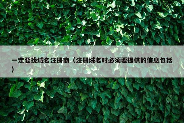 一定要找域名注册商（注册域名时必须要提供的信息包括）