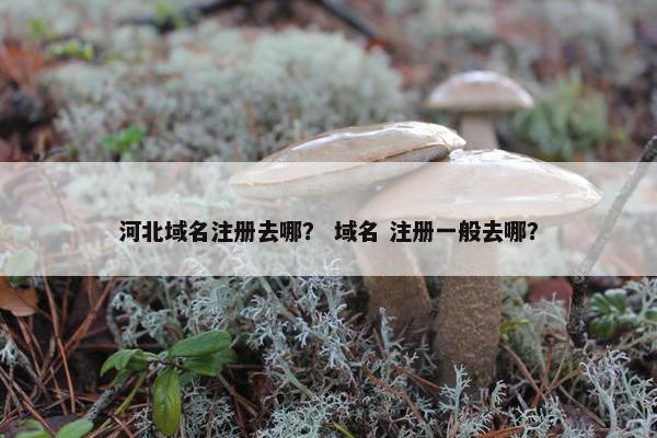 河北域名注册去哪？ 域名 注册一般去哪？