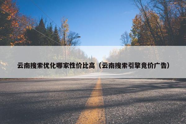 云南搜索优化哪家性价比高（云南搜索引擎竞价广告）
