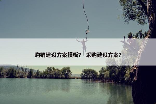 购销建设方案模板？ 采购建设方案？