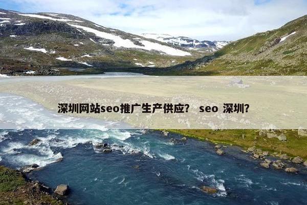 深圳网站seo推广生产供应？ seo 深圳？