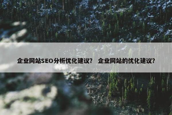 企业网站SEO分析优化建议？ 企业网站的优化建议？