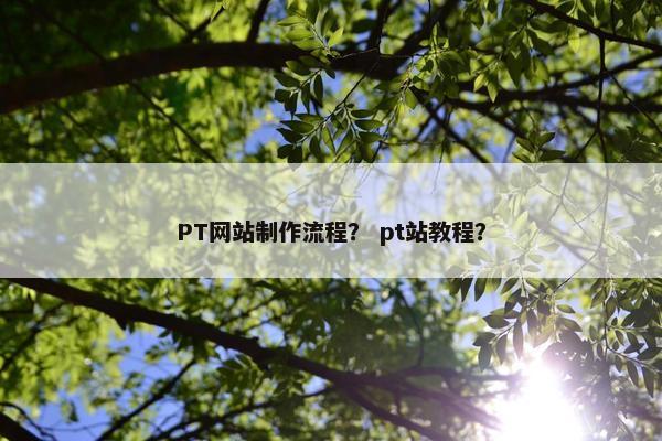 PT网站制作流程？ pt站教程？