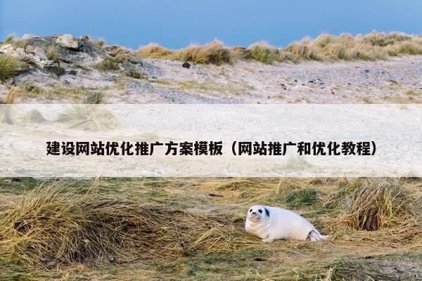 建设网站优化推广方案模板（网站推广和优化教程）