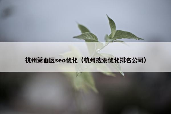 杭州萧山区seo优化（杭州搜索优化排名公司）
