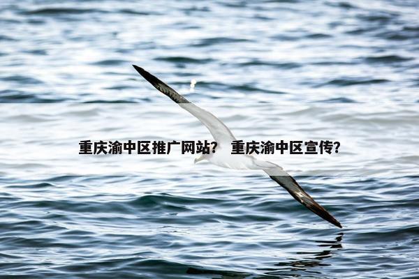 重庆渝中区推广网站？ 重庆渝中区宣传？