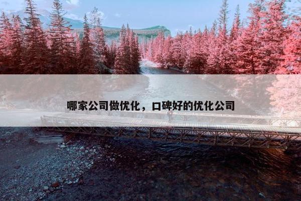 哪家公司做优化，口碑好的优化公司