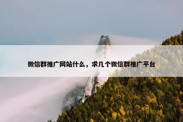 微信群推广网站什么，求几个微信群推广平台