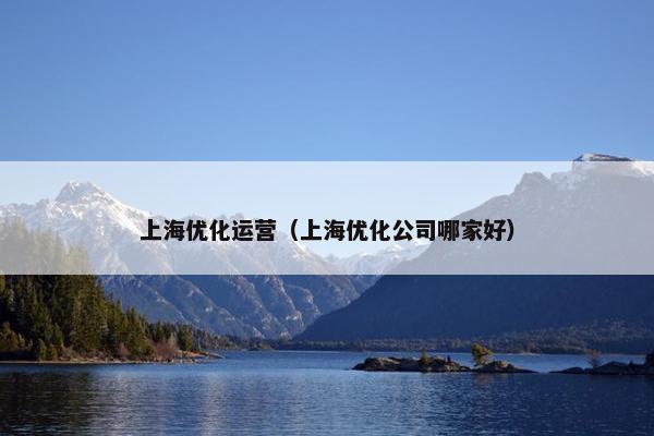 上海优化运营（上海优化公司哪家好）